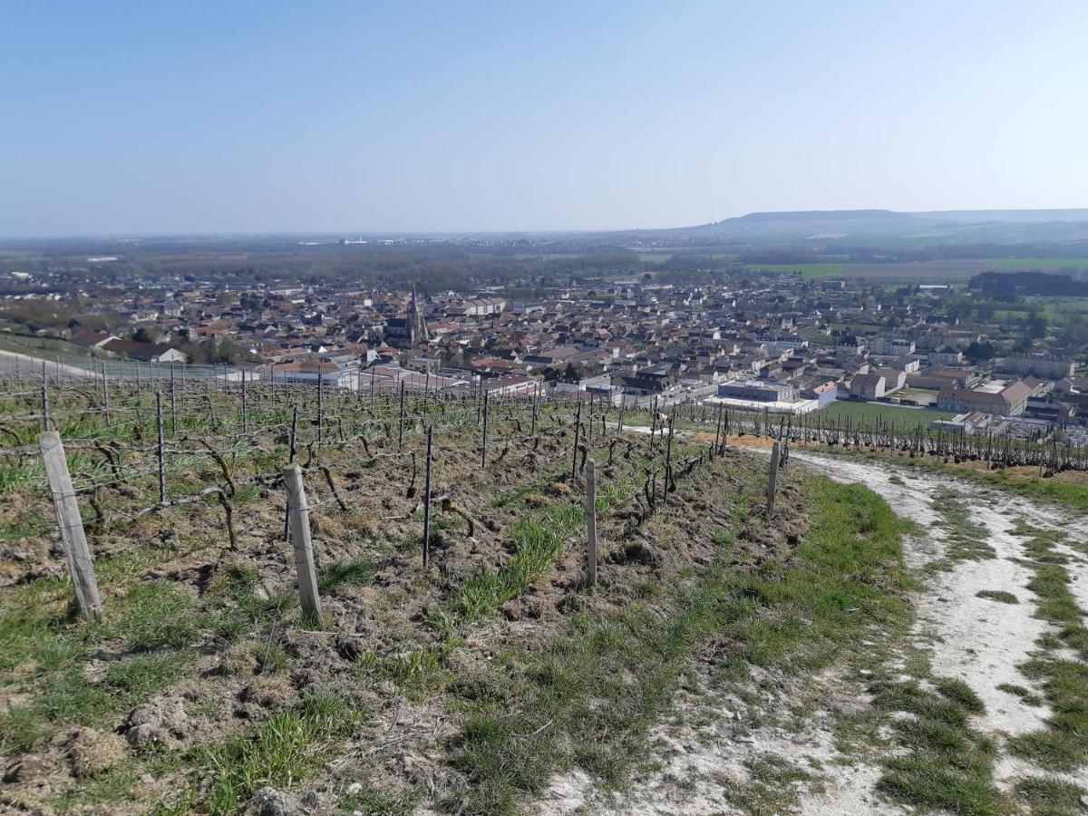 مبيت وإفطار Mareuil-sur-Ay La Cour Des Marotiers المظهر الخارجي الصورة